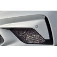 BMW M2 Competition (F87) - Outer Grille Set